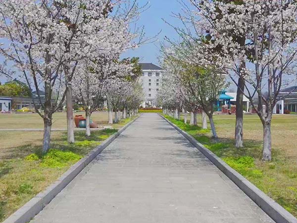 園區(qū)小景