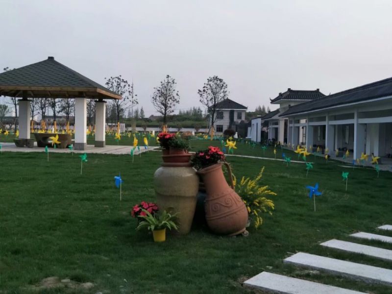 園區(qū)小景