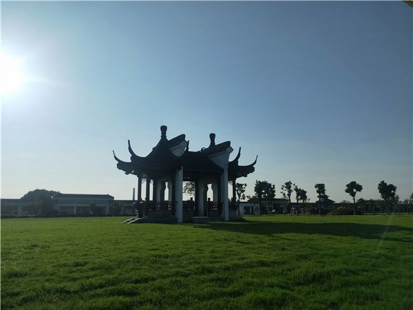 園區(qū)小景