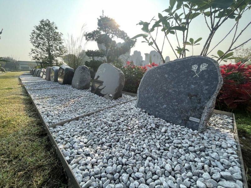 延陵賦---D區(qū)
